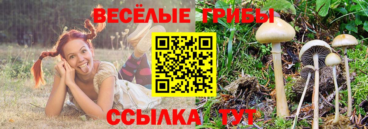 как найти закладки  Псилоцибиновые грибы прущие грибы  Чебаркуль  Вход с VPN  Псилоцибиновые грибы Psilocybe 